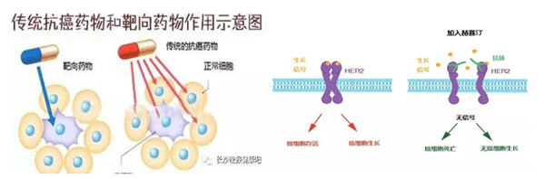 QQ截图20210107175440.jpg