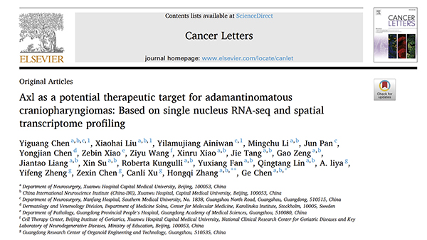 成果发表丨陈革&张鸿祺教授团队：通过单细胞测序联合空间转录组测序确定釉质细胞型颅咽管瘤治疗新靶点